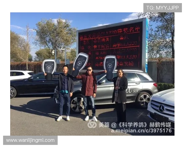 北京飞盘队实力对比深度解析与未来发展展望